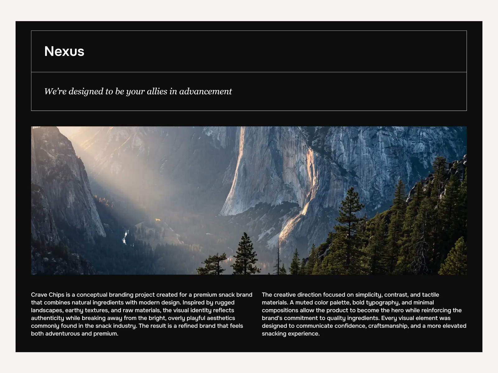 LineAgency - Creative Agency Website Template preview 3
